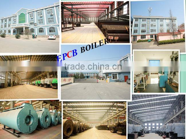 DZL Wood Waste Biomass Fired Steam Boiler