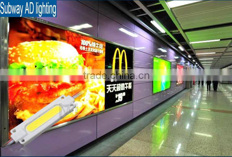 Super brightness led injection module with outdoor waterproof LED 6 Chips SMD 2835 led module AC220V for light box