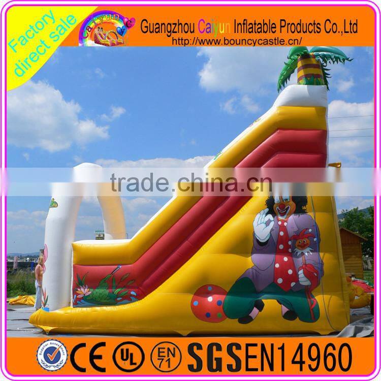 Funny carton design inflatable plastic dry slide