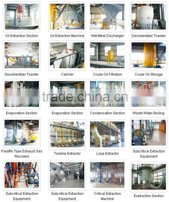 Small Scale Sunflower Oil Making Machine with CE