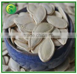 2015 New Crop Shine Skin Pumpkin Seeds price