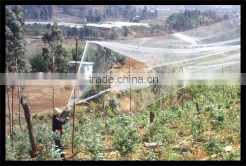 Stretched Plastic Fruit | Tree Protect Antibird Nets