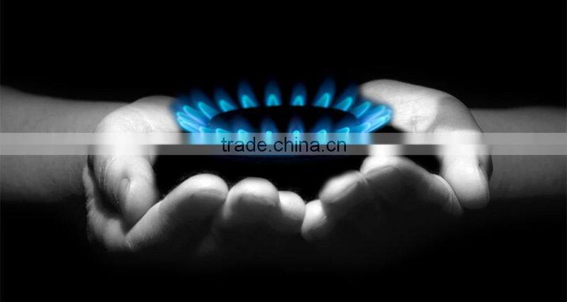 Natural gas burner industrial/Natural gas outdoor burner