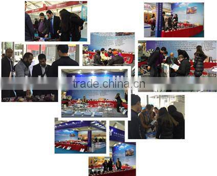 Sinotruk truck spare parts chassis parts for Howo WG9100440005 rear wheel adjustment arm L