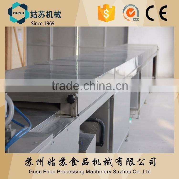 QDJ1000 width chocolate chip making machine