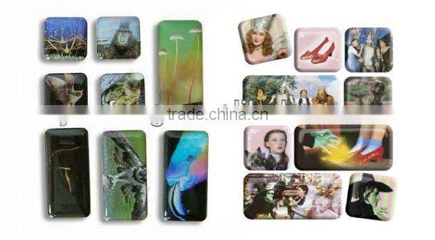 2013 Epoxy Magnet For Gift