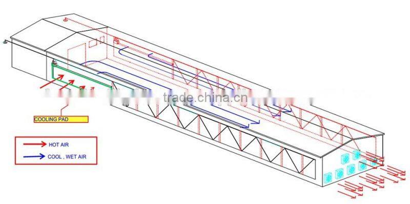 BROILER SHED BUILDING