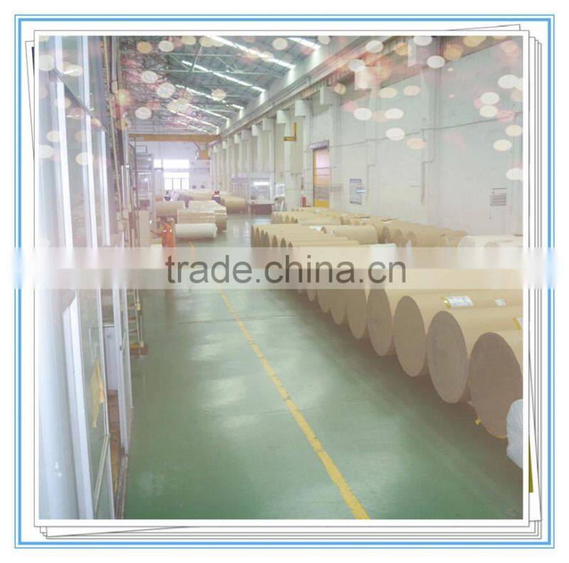 synthetic paper adhesive label for Freezing Warehouse label and ribbon printing label