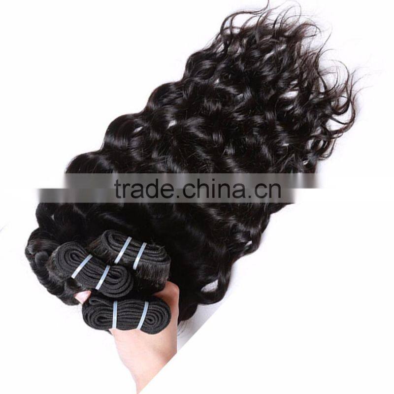 ladies human hair Cambodian/Brazilian/Peruvian/Burmess/Malaysian curly wavy hair