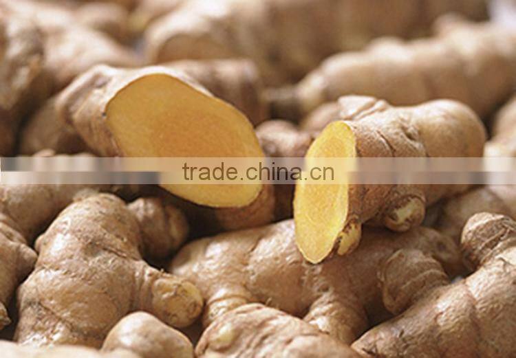 chinese low price ginger