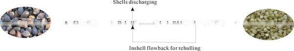buckwheat dehusking machine