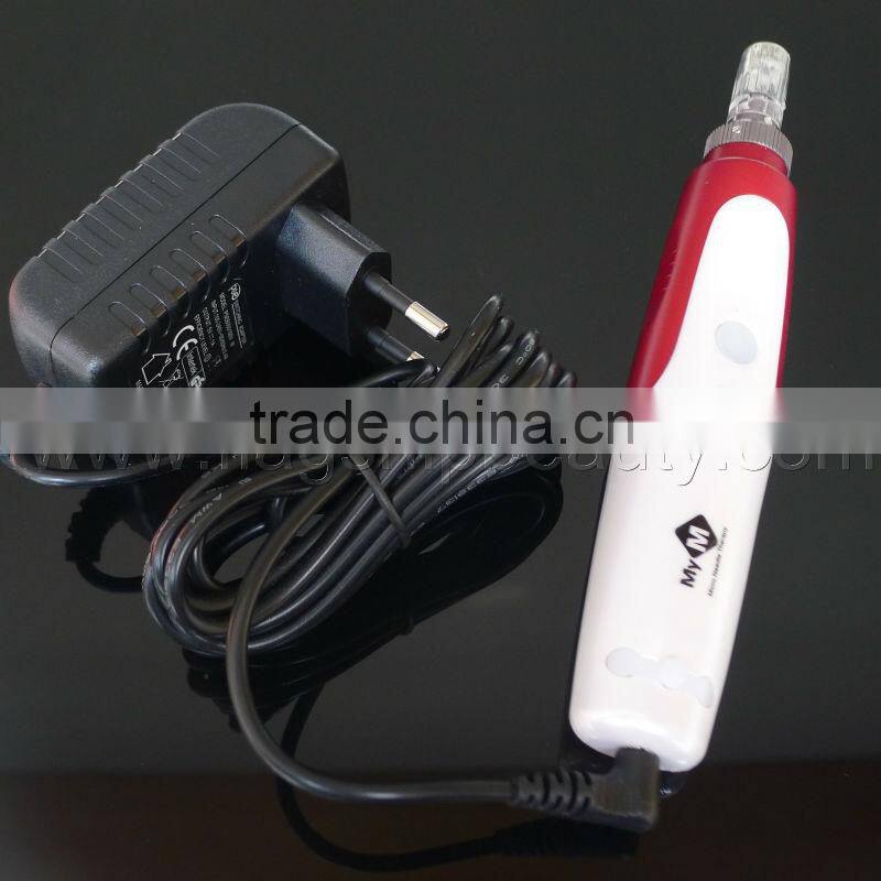 microneedle micro needle roller derma pen with 2 changeable heads