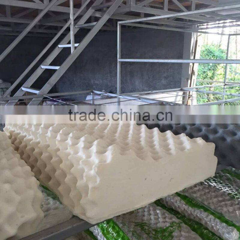 Natural Latex Pillow Thailand