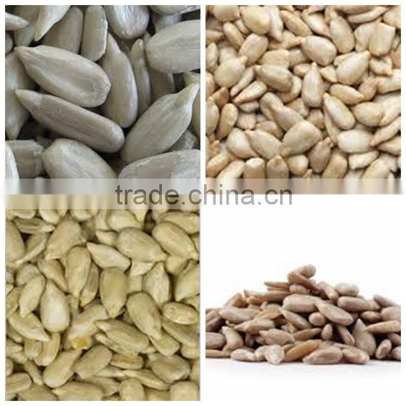sunflower kernels Chinese organic dried sunflower seeds