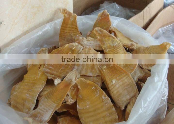 fresh dry bamboo shoot