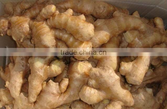 Fresh air dried ginger
