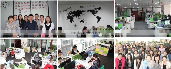 Commercial Meatball Making Machine/Forming Machine/Fishball Maker