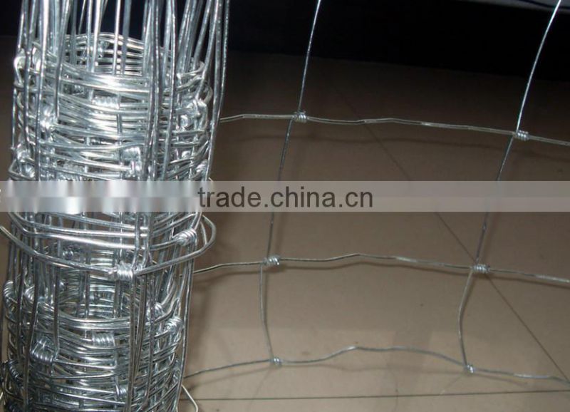 hot dipped galvanized grassland fence mesh wire mesh