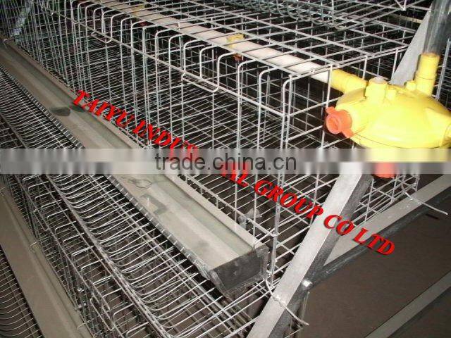 battery egg chicken cage