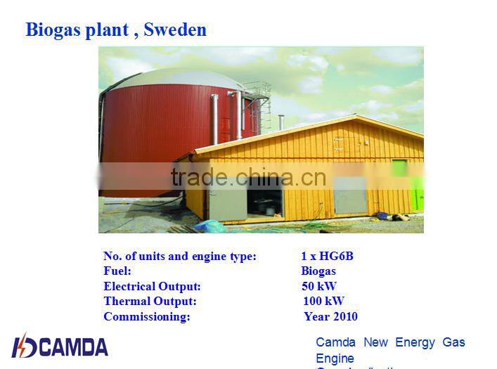 biogas generator 100KW/biomass generator/waste to energy 60Hz