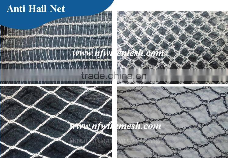 Green Color Plastic Hexagonal Mesh Chicken Net/Plastic Chicken Wire Mesh(Guangzhou stock)