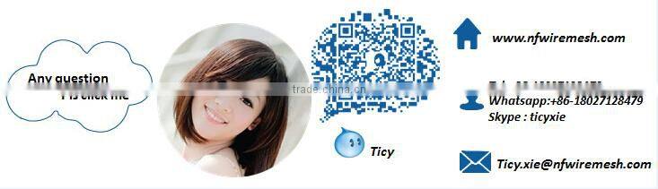 cheap decorative flower garden fencing/plastic garden fence(guangzhou factory)