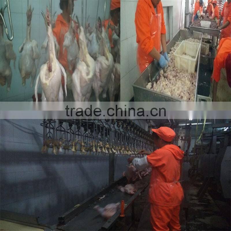 Slaughter house equipment /slaughterhouse equipment / chicken slaughterhouse with good aftersale service