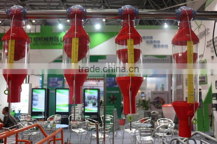 automatic feeding system for pig farm