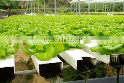 NFT Hydroponic Gully & Accessories