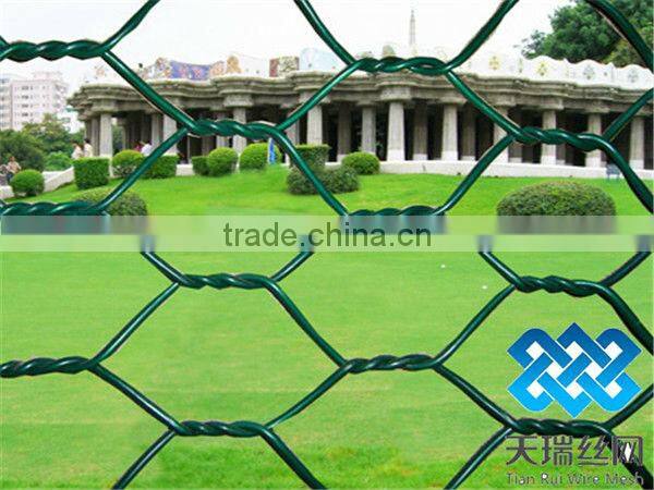 Hexagonal chicken wire mesh/ hexagonal wire netting/ Hexagonal wire mesh