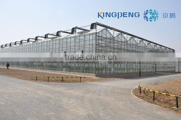 Agricultural Commercial Glass Greenhouses (ISO9001:2000)