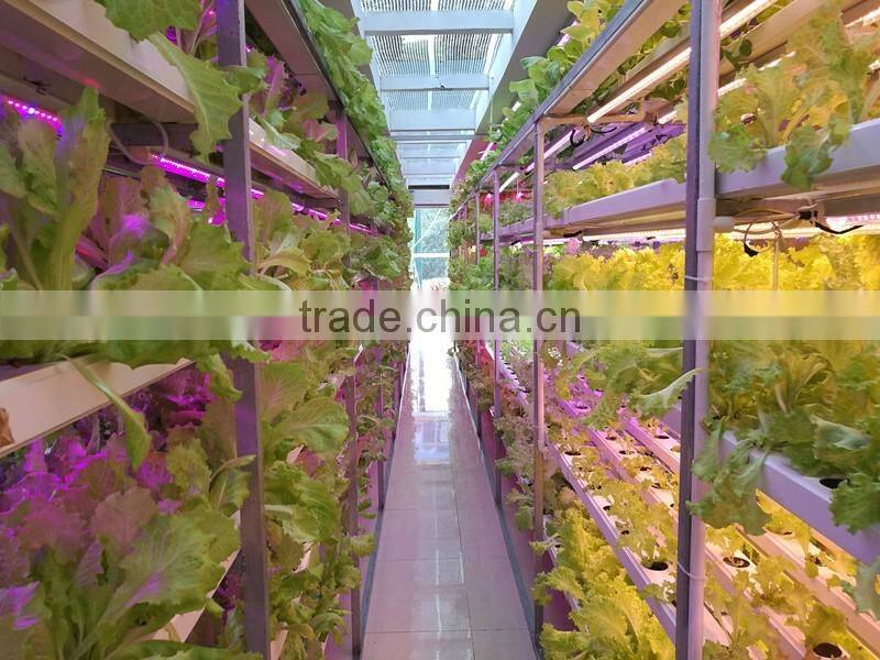 cheap but good full spectrum led grow lights 20W best led lamp for hydroculture