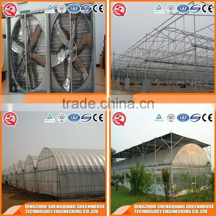China supplier multi-span plastic film agricultural greenhouse for sale