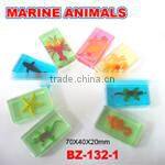 Various Marine Animals Ooze/Turtle/Starfish/Crab