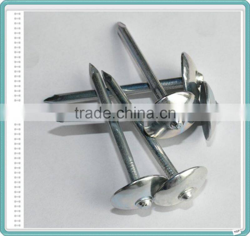 Umbrella Head Galvanized Roofing Nails with Rubber Washer
