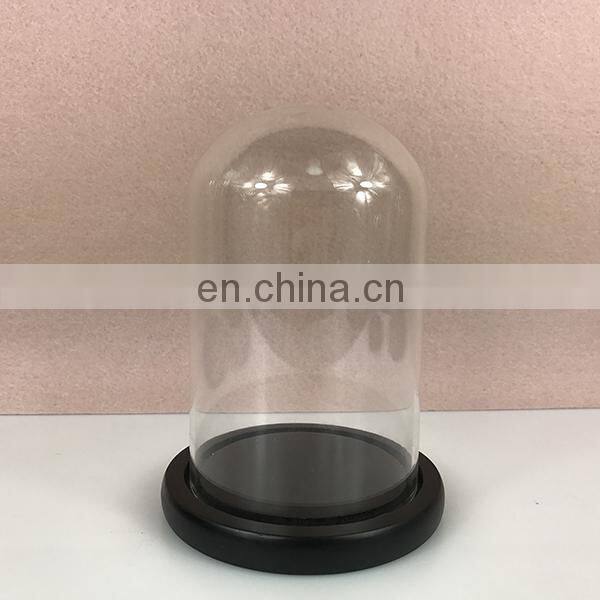 Glass Display Cloche Bell Jar Dome Flower Immortal Preservation Vase Wooden Base