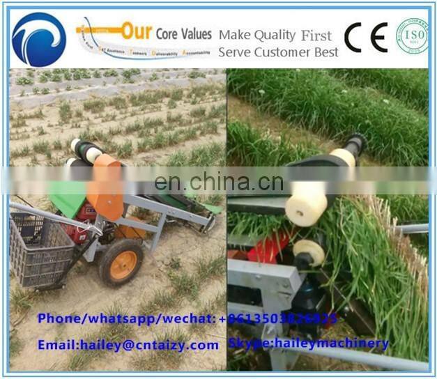 Taizy Chinese chives havesting machine leek/celery harvester machine for sale