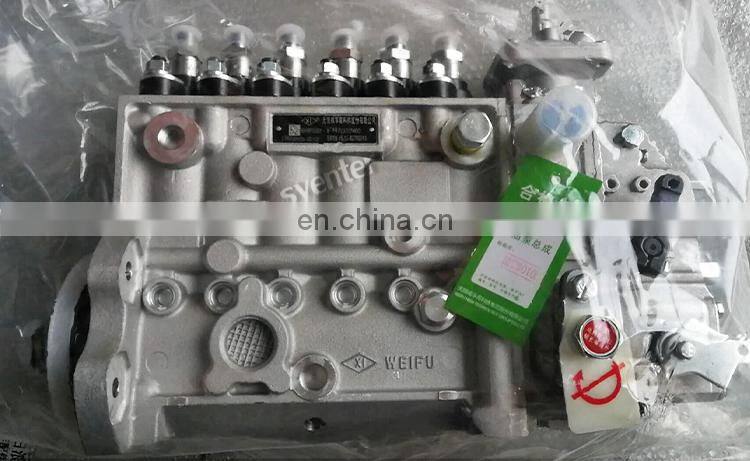 Diesel Fuel Injection Pump 5286863 for DCEC 6LTAA8.9 C220