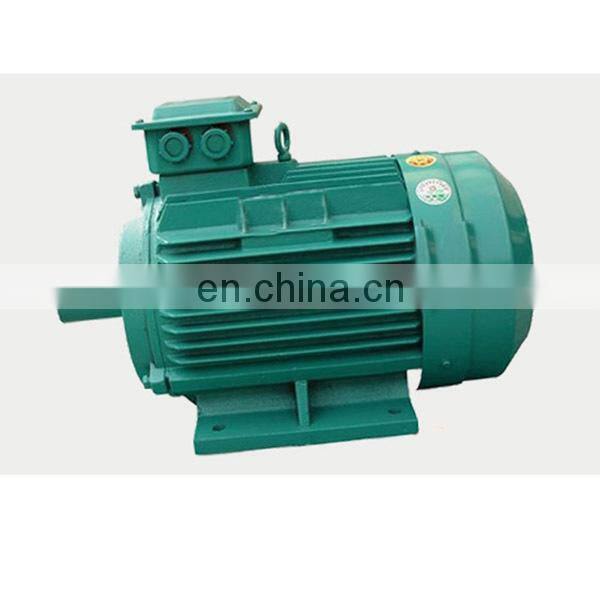 Three Phase CE Certificate 350W Electrical Motor