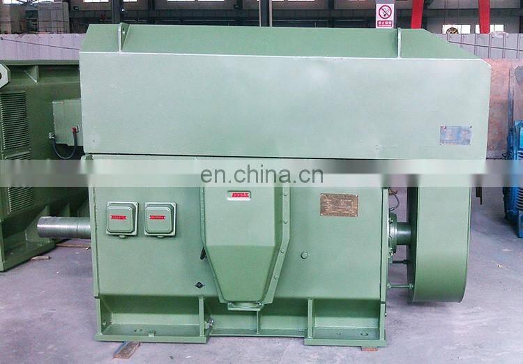 11KV high voltage three phase induction motor