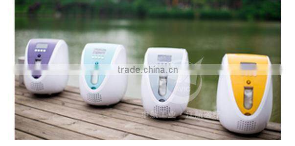 partable oxygen concentrator 1L family use