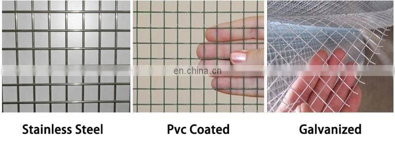 Wire Mesh Chicken Hexagonal Wire Mesh Hexagonal Wire Mesh Netting