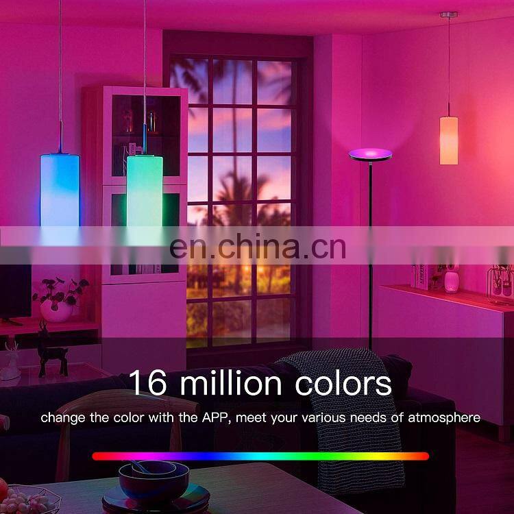 Modern Nordic Led RGB Living Room Floor Lamp