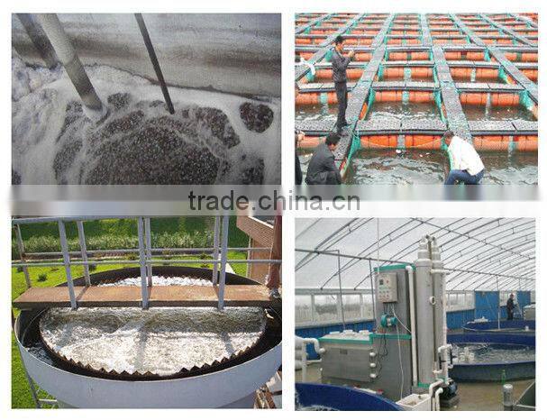 tower packing,plastic pall ring