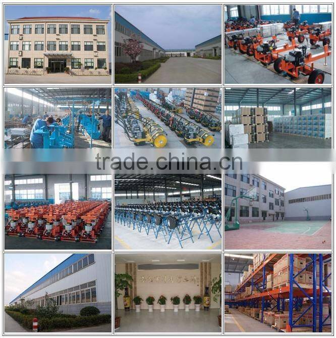 hot sell gasoline/petrol turf sweeper