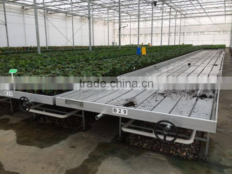 multi-span galvanized Aquarium Plant Greenhouse