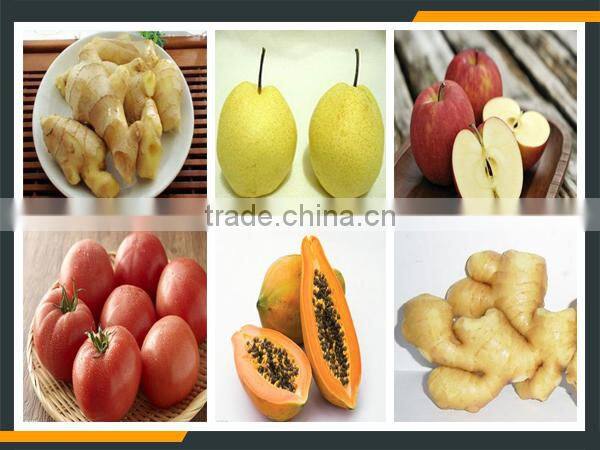 Leader hot sales 7l harvest apple & fruit crusher Skype:leaderservice005