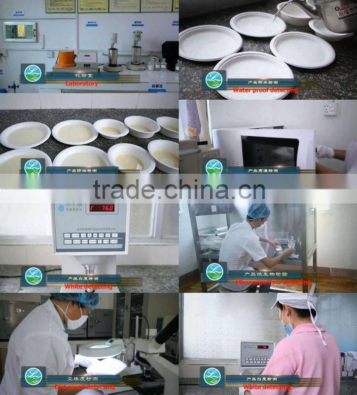 Disposable Take away Box with two compartment