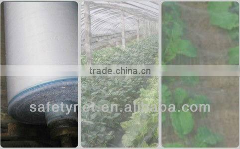 HDPE Anti-insects Net (factory) / HDPE Virgin insect net