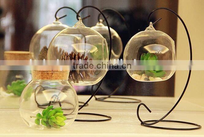 hand blown different types clear glass vase terrarium for home